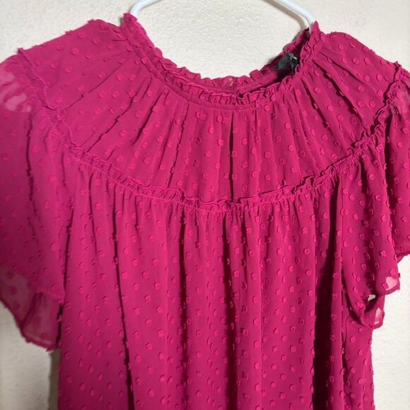 J Crew Blouse Women's Small Short Sleeve Polka Dot Lined Beery Pink Sheer Top - Picture 2 of 7